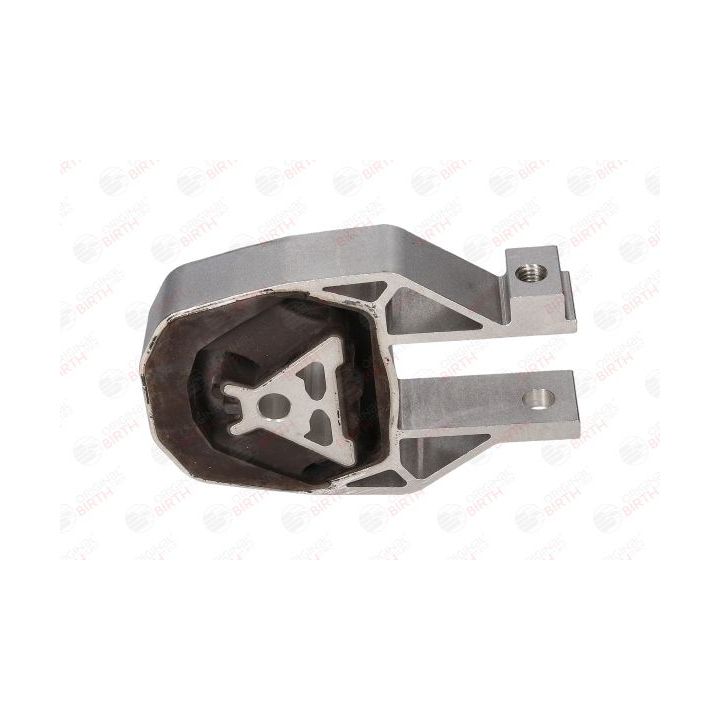 Variklio montavimas BIRTH 53432