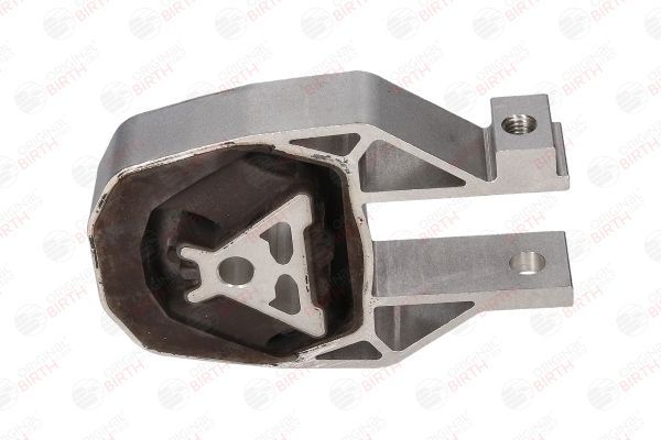 Variklio montavimas BIRTH 53432