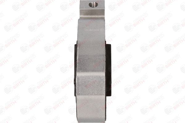 Variklio montavimas BIRTH 53432