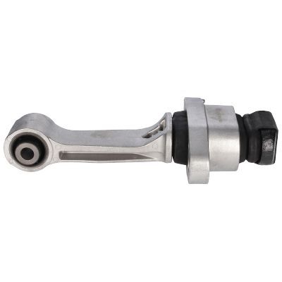 Variklio montavimas BIRTH 53445