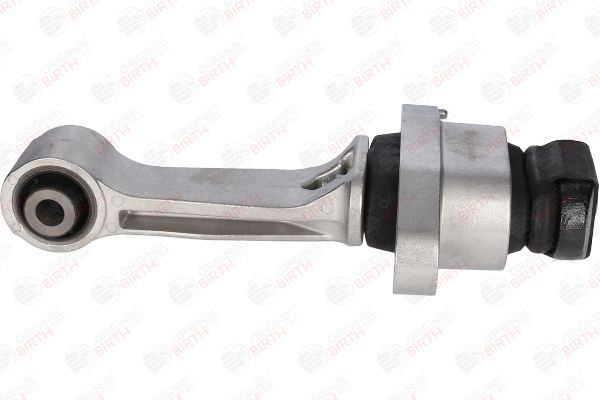 Variklio montavimas BIRTH 53445