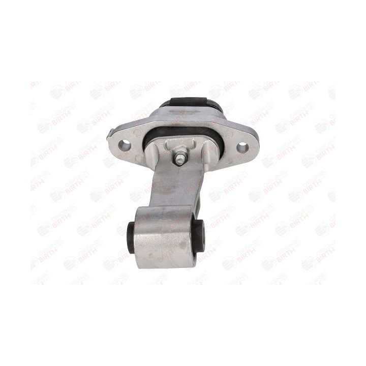 Variklio montavimas BIRTH 53445