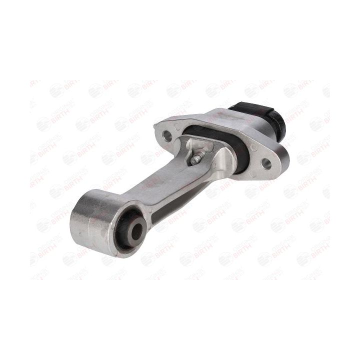 Variklio montavimas BIRTH 53445