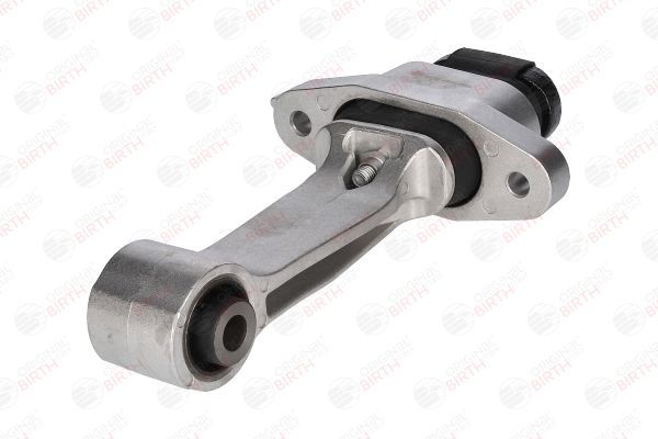 Variklio montavimas BIRTH 53445