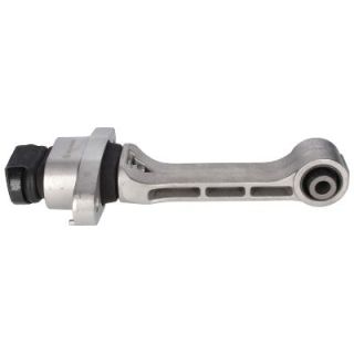 Variklio montavimas BIRTH 53446