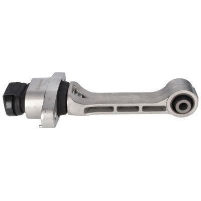 Variklio montavimas BIRTH 53446