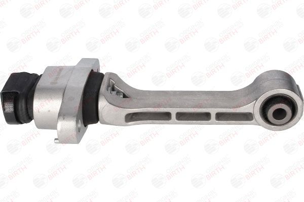 Variklio montavimas BIRTH 53446