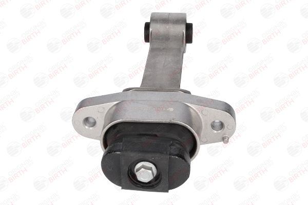 Variklio montavimas BIRTH 53446