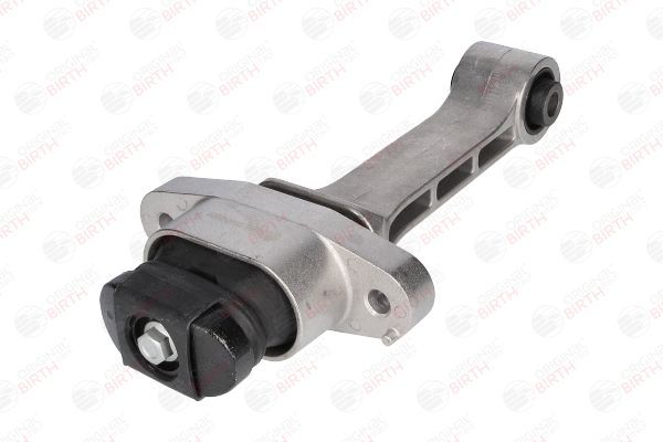 Variklio montavimas BIRTH 53446