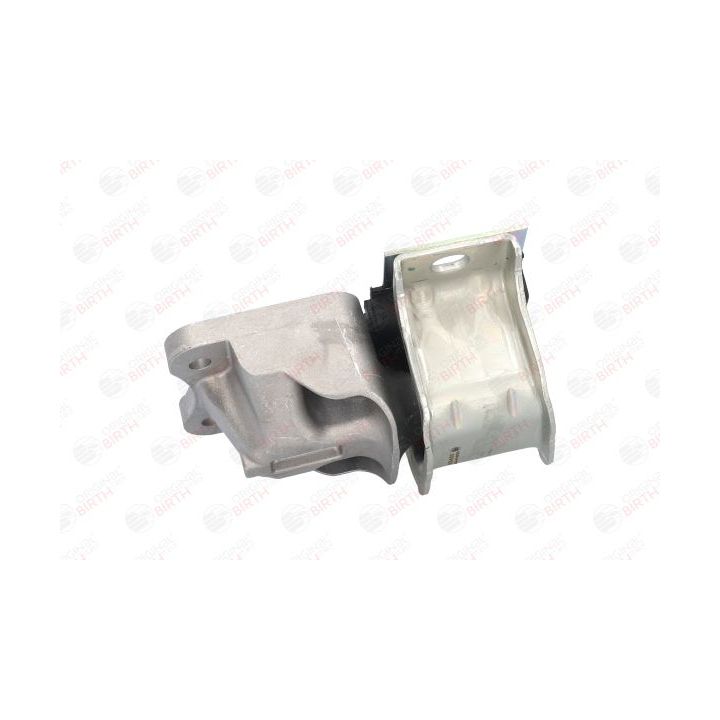 Variklio montavimas BIRTH 53453