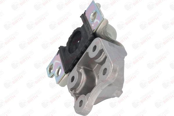 Variklio montavimas BIRTH 53453