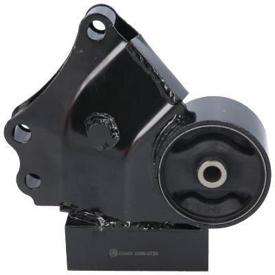 Variklio montavimas BIRTH 53463