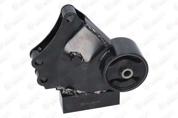 Variklio montavimas BIRTH 53463