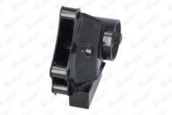 Variklio montavimas BIRTH 53463