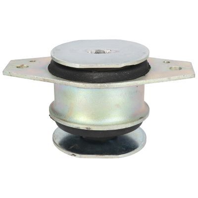 Variklio montavimas BIRTH 5347