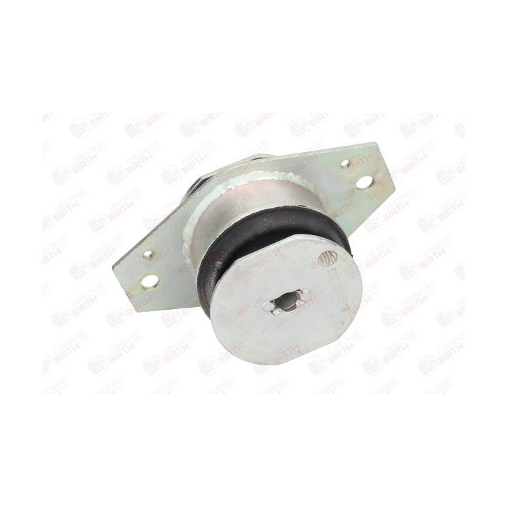 Variklio montavimas BIRTH 5347