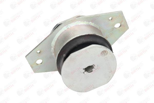 Variklio montavimas BIRTH 5347