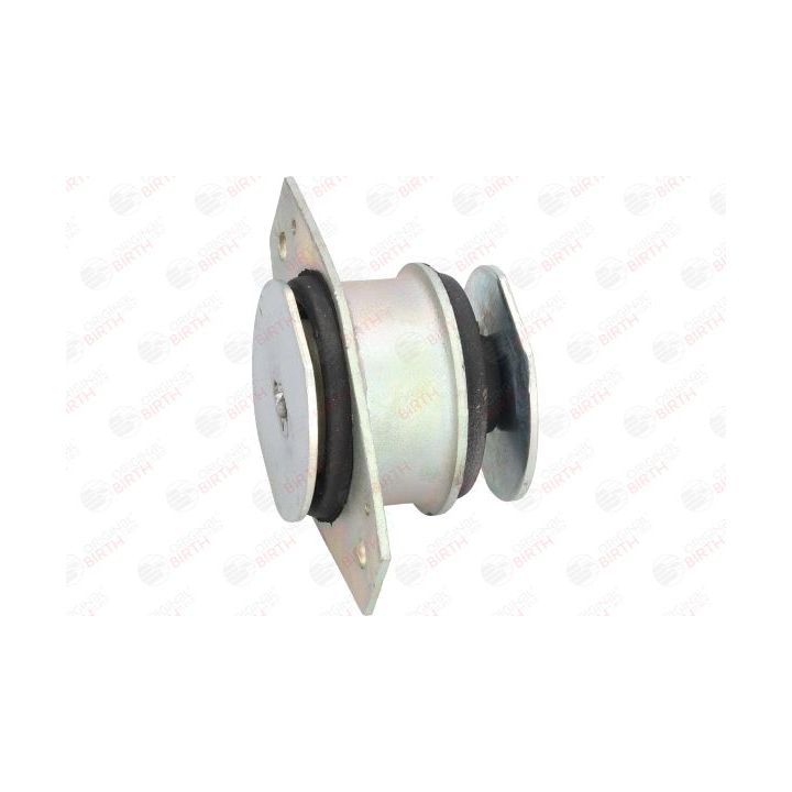 Variklio montavimas BIRTH 5347