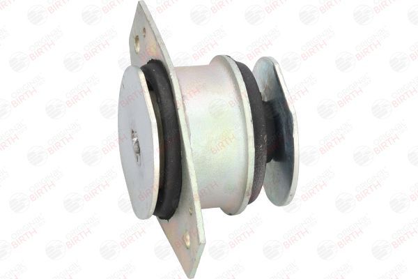 Variklio montavimas BIRTH 5347