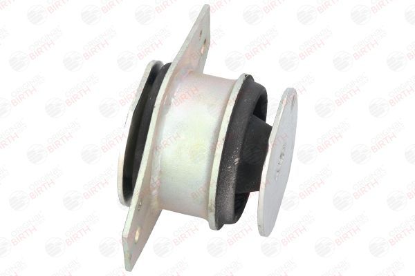 Variklio montavimas BIRTH 5347