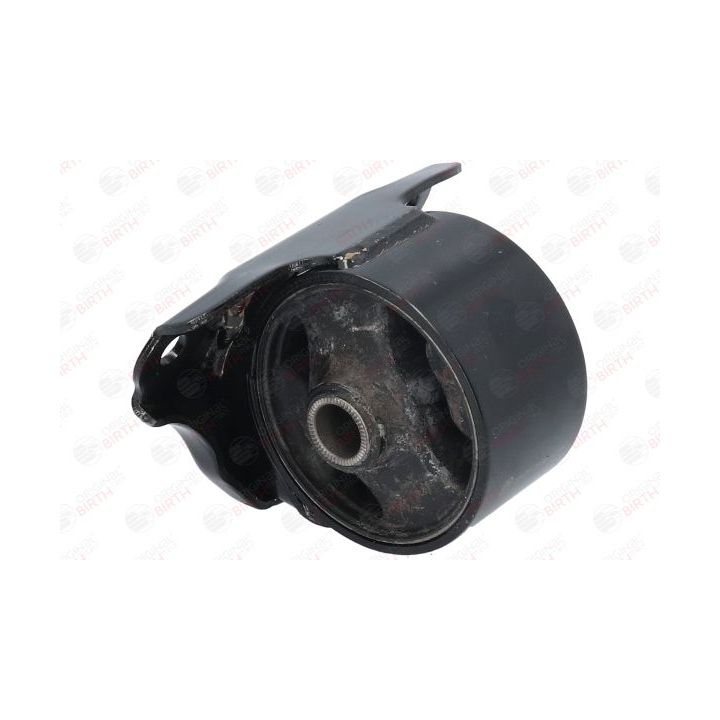 Variklio montavimas BIRTH 53476