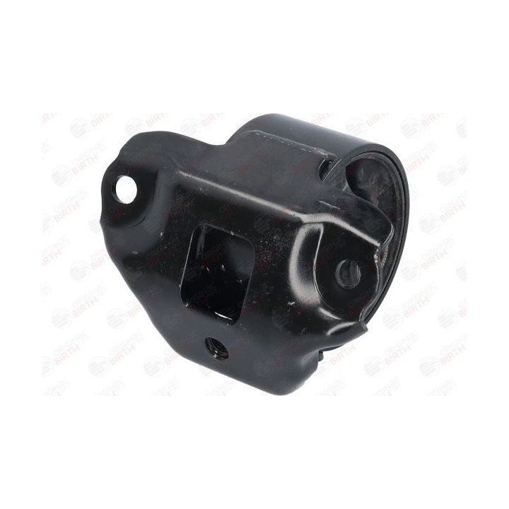 Variklio montavimas BIRTH 53476