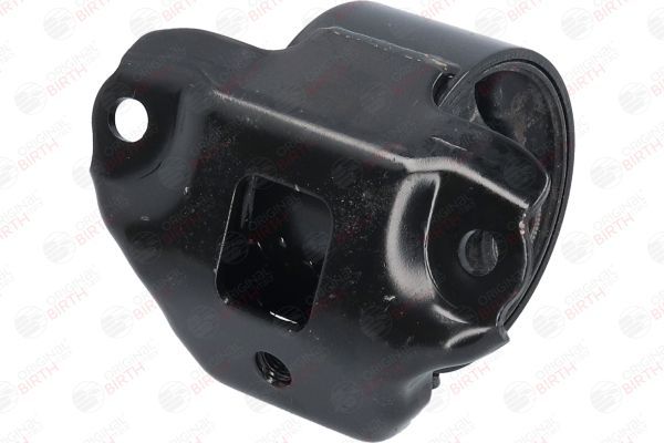 Variklio montavimas BIRTH 53476