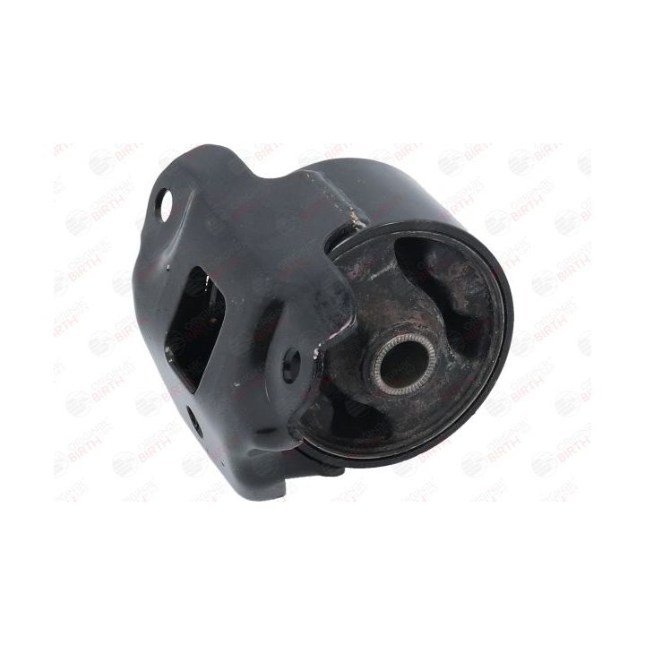 Variklio montavimas BIRTH 53476