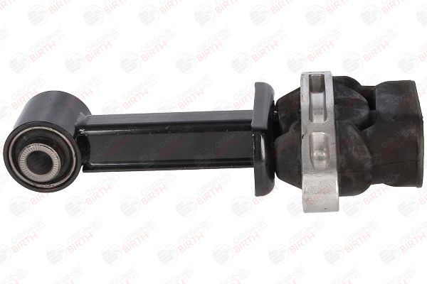 Variklio montavimas BIRTH 53478