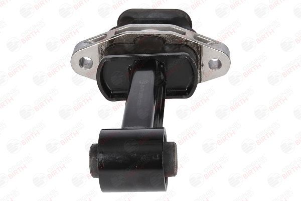 Variklio montavimas BIRTH 53478