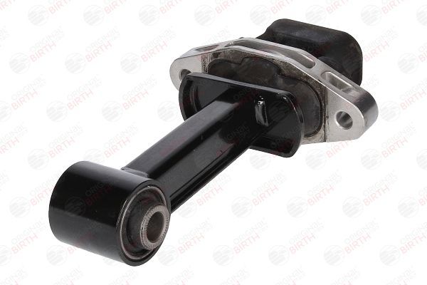 Variklio montavimas BIRTH 53478