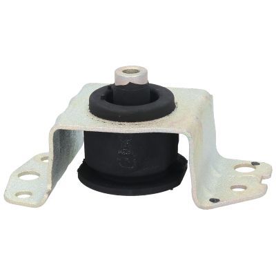 Variklio montavimas BIRTH 5348