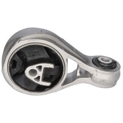 Variklio montavimas BIRTH 53486