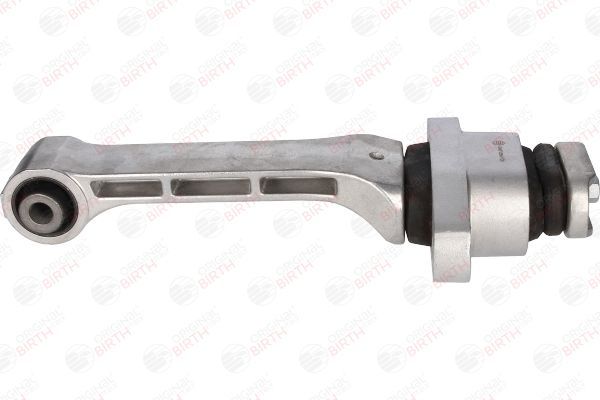 Variklio montavimas BIRTH 53487