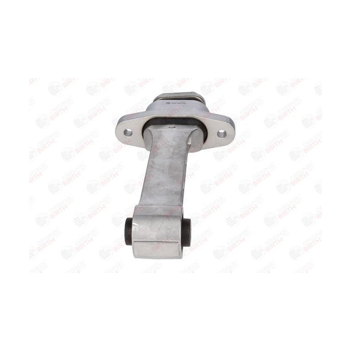 Variklio montavimas BIRTH 53487