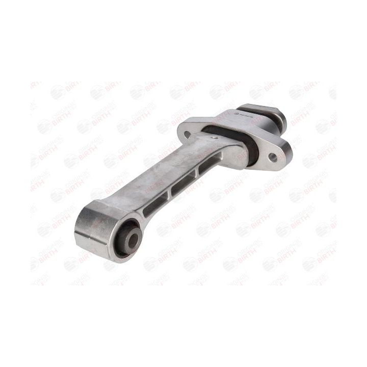 Variklio montavimas BIRTH 53487