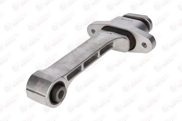 Variklio montavimas BIRTH 53487