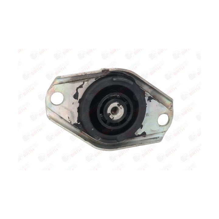 Variklio montavimas BIRTH 5349