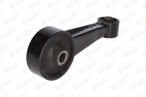 Variklio montavimas BIRTH 53490