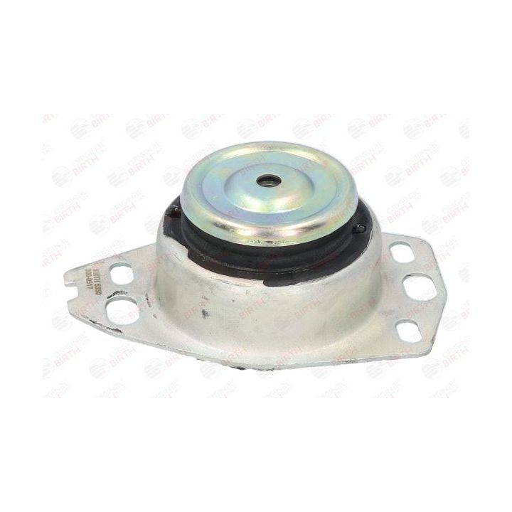 Variklio montavimas BIRTH 5350