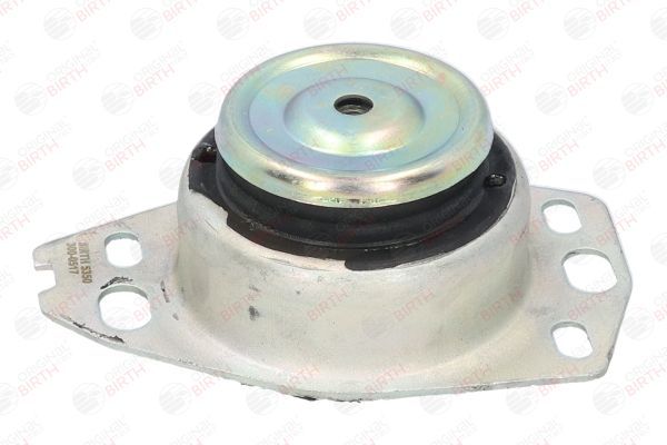 Variklio montavimas BIRTH 5350