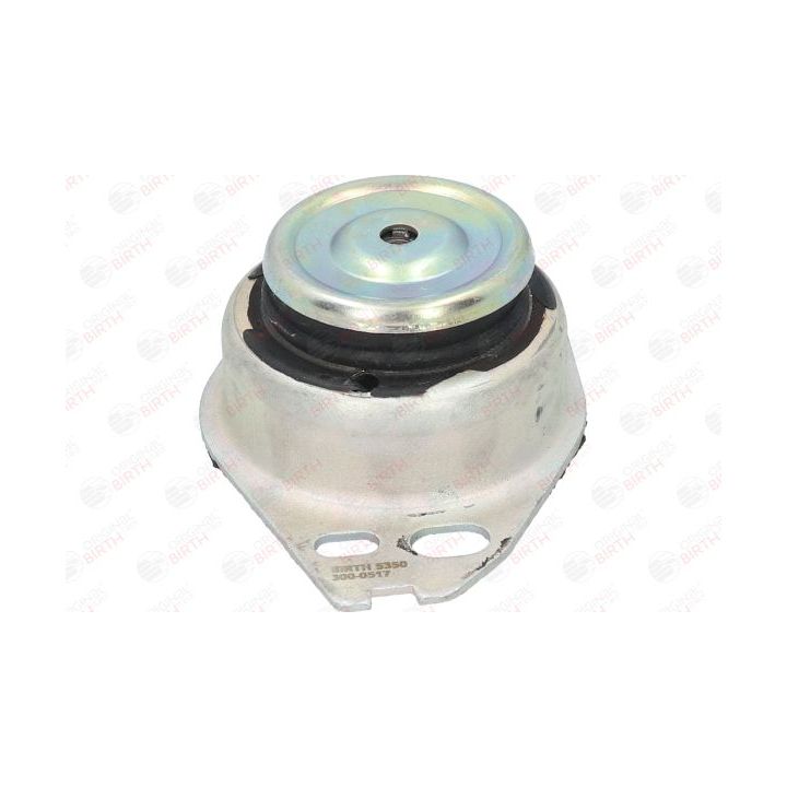 Variklio montavimas BIRTH 5350