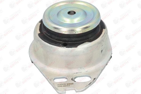 Variklio montavimas BIRTH 5350