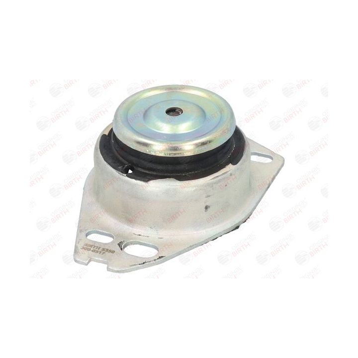 Variklio montavimas BIRTH 5350