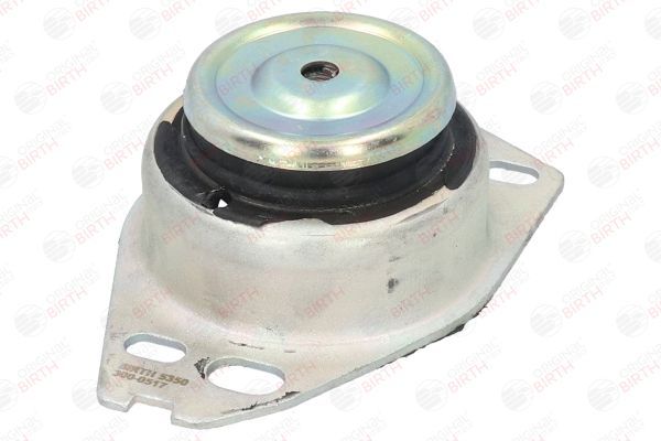 Variklio montavimas BIRTH 5350