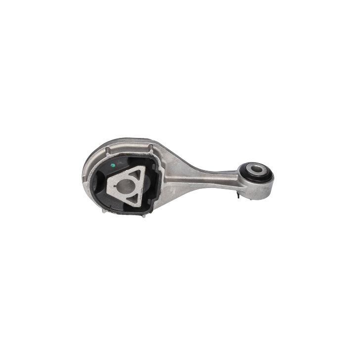 Variklio montavimas BIRTH 53500