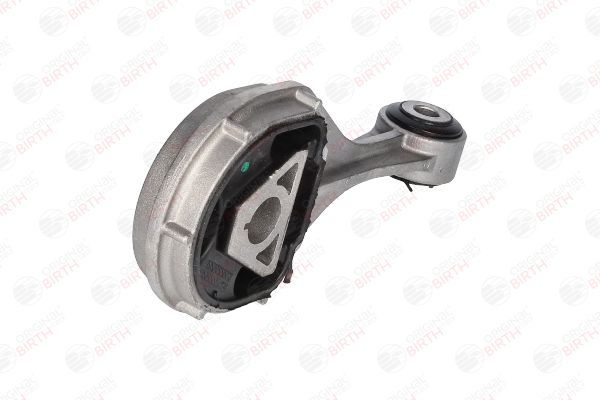 Variklio montavimas BIRTH 53500