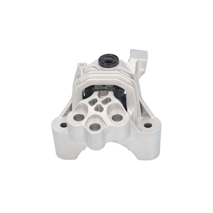 Variklio montavimas BIRTH 53506