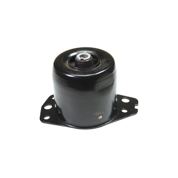 Variklio montavimas BIRTH 5351