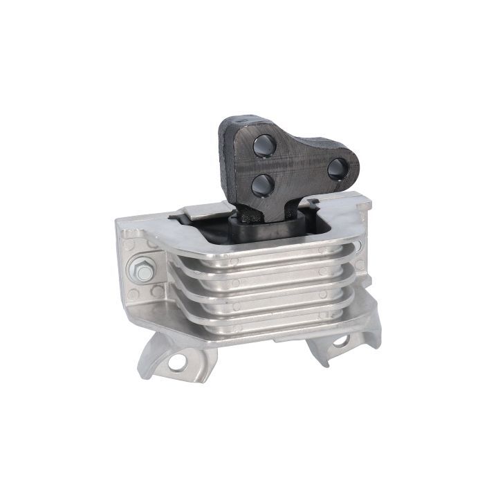 Variklio montavimas BIRTH 53519